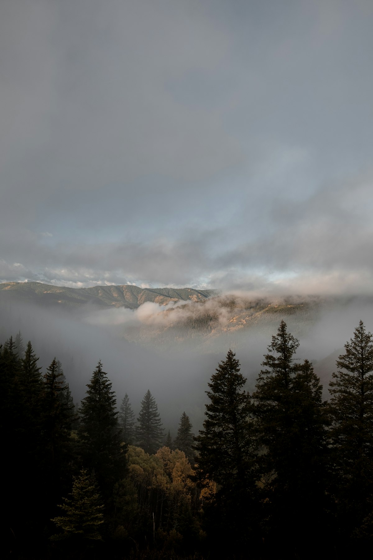 Hunter glassing a mountain basin in Colorado during early morning with a draw odds application paperwork visible